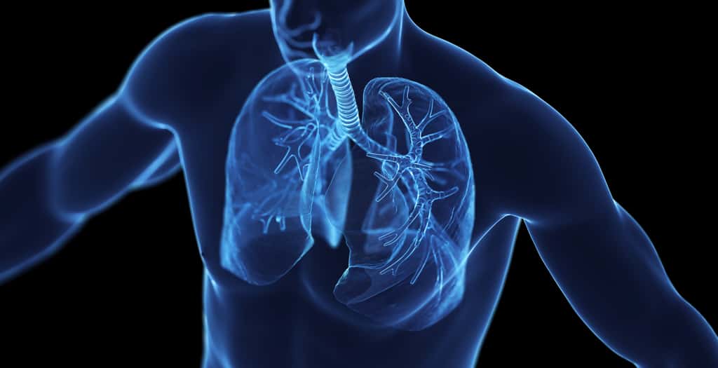 L'asthme est une maladie du système respiratoire. © SciePro, Adobe Stock