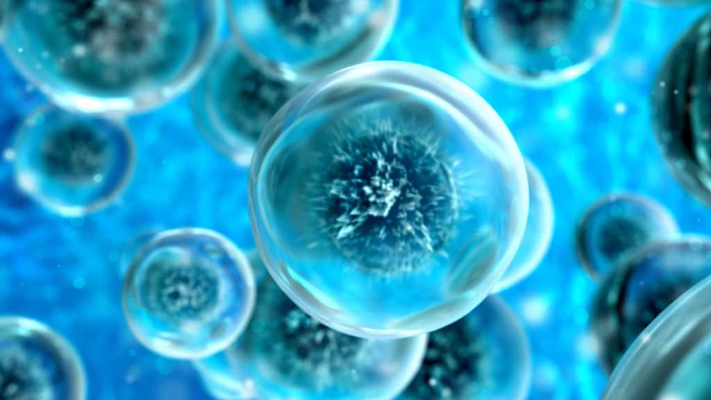 Comment expliquer que le règne des eucaryotes ait mis si longtemps à se mettre en place dans l'histoire de la vie terrestre ? © SmirkDingo, Adobe Stock