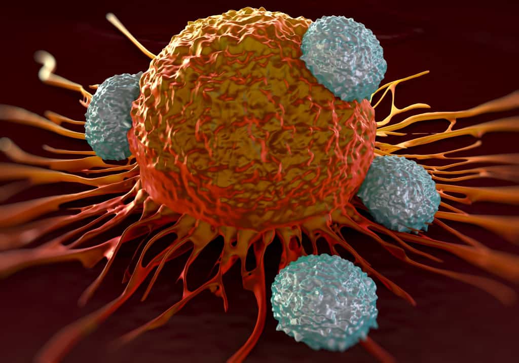 Illustration d'une cellule cancéreuse attaquée par plusieurs lymphocyte T. © royaltystockphoto, Adobe Photo