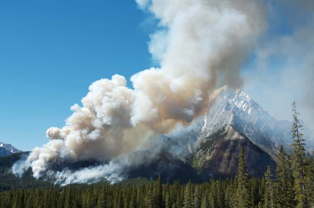 Les montagnes rocheuses canadiennes sont à nouveau confrontées à des incendies précoces. © skylightpictures, Adobe Stock