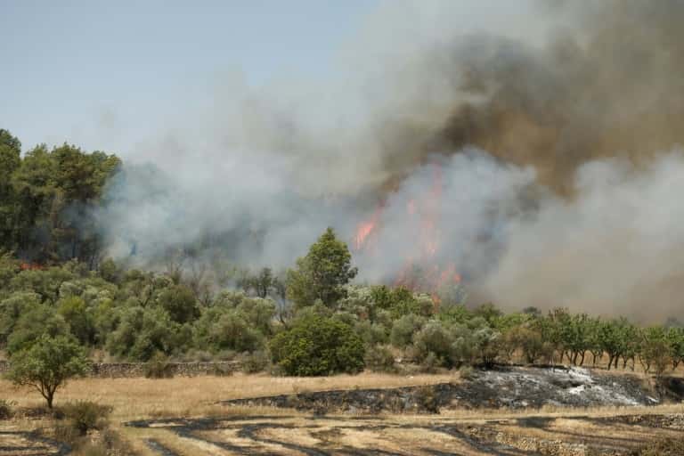 Un incendie dévastateur sévit près de Flix, en Catalogne, dans le nord-est de l'Espagne, le 27 juin 2019. © Pau Barrena - AFP