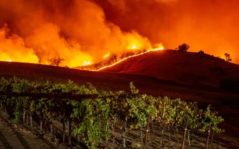 Le <em>« Kincade Fire »</em> s'approche des vignes, près de Geyserville, le 24 octobre 2019 en Californie. © Josh Edelson, AFP