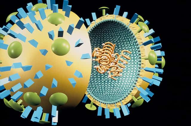 Le virus de la grippe porte en surface la neuraminidase (en vert) et l'hémagglutinine (en bleu). © Sanofi Pasteur, Flickr, CC by-nc-nd 2.0