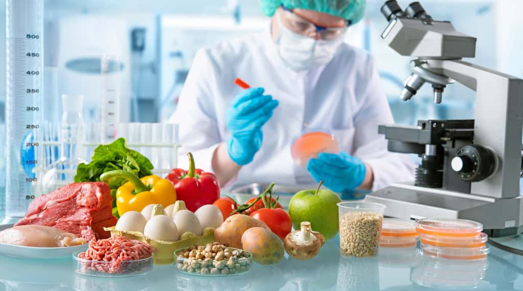Dans l’agro-alimentaire, les biotechnologies sont utilisées pour la fabrication de fromages, d’aliments de synthèse ou encore de produits vegans. © Alexander Raths, Adobe Stock