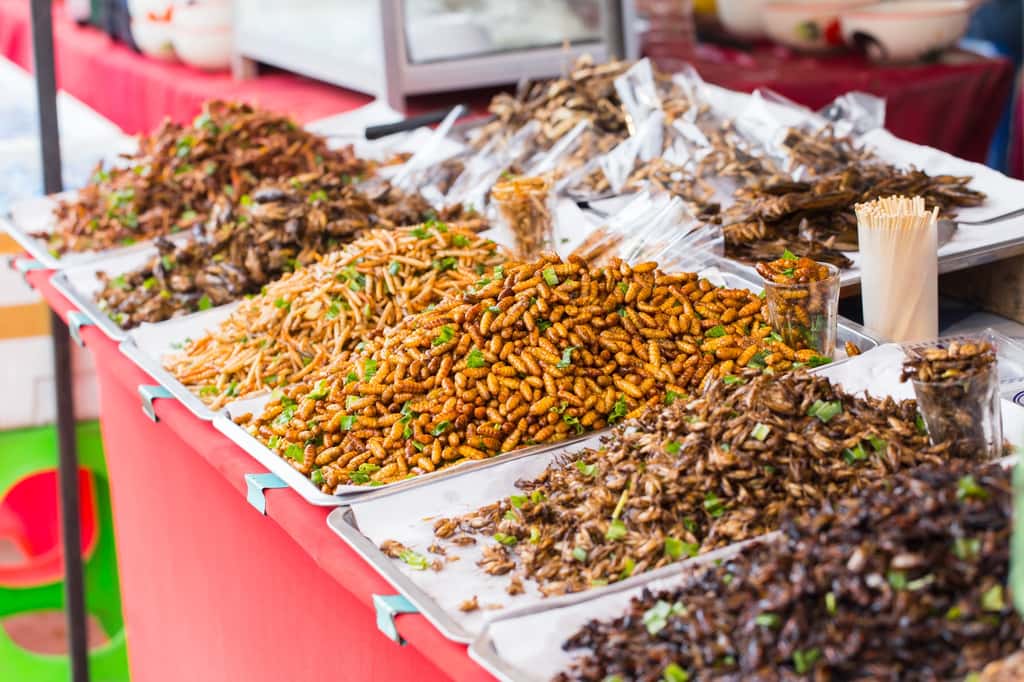 En Asie, des commerçants vendent des insectes frits sur leurs étals. © coffeekai, Fotolia