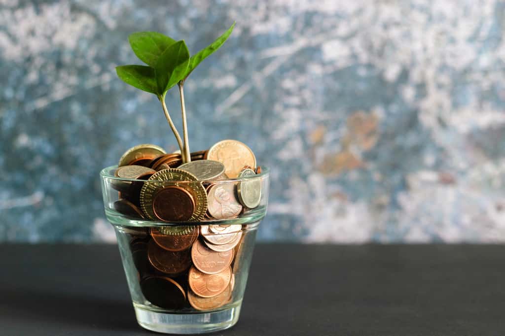 Investir en ligne peut permettre de faire fructifier son épargne. © micheile dot com / Unsplash