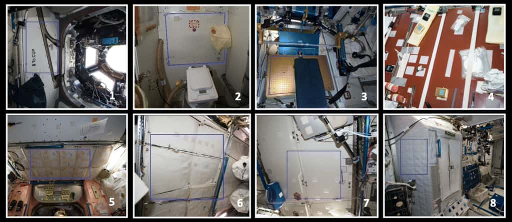 Photographies des huit sites au sein de la partie américaine de l'ISS où des échantillons ont été prélevés à l'aide de lingettes stériles par deux astronautes de la Nasa, en mars 2015, mai 2015 et mai 2016 : la cupola ou coupole d'observation (1), les toilettes (2), l'appareil de musculation (3), la table à manger (4), un espace de rangement (5), l'intérieur d'un module de stockage (6), un panneau près du distributeur d'eau (7), les quartiers des astronautes (8). © Aleksandra Checinska Sielaff <em>et al.</em>, <em>Microbiome</em>, 2019