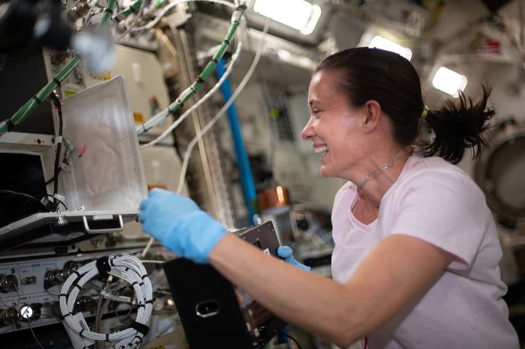 L'astronaute Megan McArthur travaille sur le projet de recherche Kidney Cells-02. © Nasa