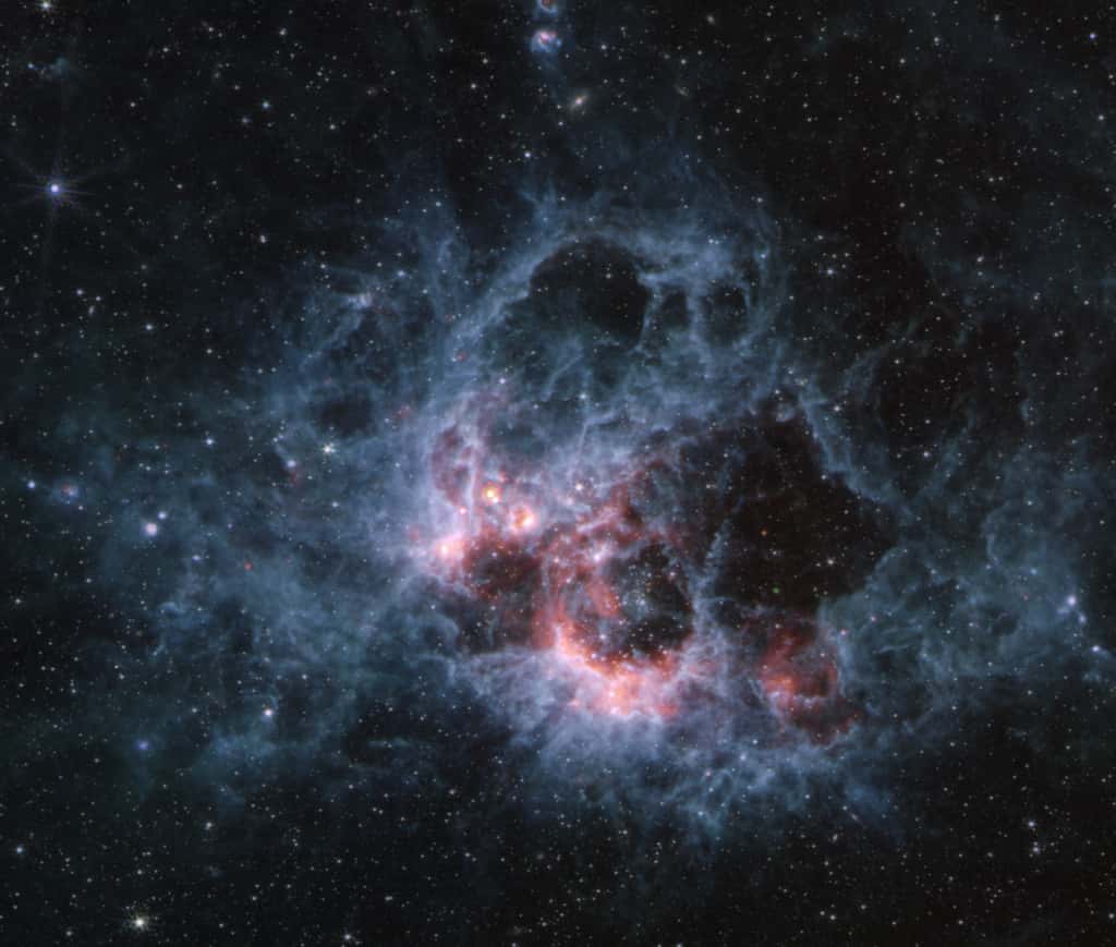 Cette image, prise par Miri (<em>Mid-Infrared Instrument</em>) de Webb de la région de formation d'étoiles NGC 604, montre comment de grands nuages de gaz et de poussière plus froids brillent dans les longueurs d'onde de l'infrarouge moyen. © Nasa, ESA, ASC, STScI