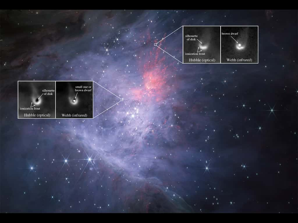 Image infrarouge du centre de la nébuleuse d'Orion prise avec l'instrument NIRCam du télescope spatial James-Webb de la NASA. Les encarts montrent des images agrandies de deux objets protoplanétaires de faible intensité pris par le télescope spatial Hubble aux longueurs d'onde optiques et par le télescope Webb aux longueurs d'onde infrarouges. Pour chaque objet protoplanétaire, un petit disque protoplanétaire est détecté en silhouette sur l'image optique, qui est entouré d'un front d'ionisation brillant produit par le rayonnement UV intense des étoiles les plus massives. La naine brune au centre de chaque disque est détectée sur l'image infrarouge de James-Webb. La spectroscopie de l'instrument NIRSpec sur Webb a confirmé que ces objets sont des naines brunes en raison de leurs températures froides. © NASA/ESA/CSA, Mark McCaughrean/ESA, Massimo Robberto/STScI/JHU, Kevin Luhman/Penn State, Catarina Alves de Oliveira/ESA. Tous droits réservés.