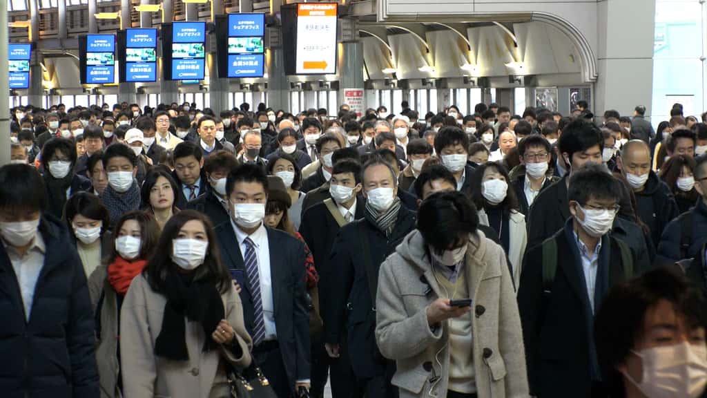 Le Japon s’inquiète de l’explosion des cas de syndrome de choc toxique streptococcique. © Sreet VJ, Shuttertsock