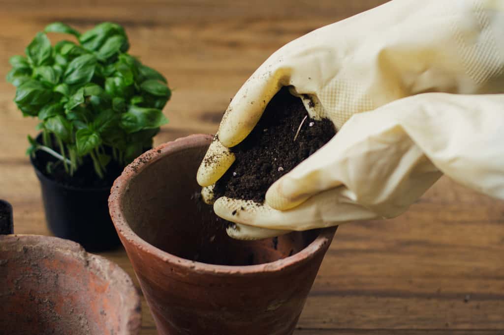 Pour planter vos plantes aromatiques en pot, vous devrez mélanger différents substrats pour créer un sol adapté. © sonyachny, Adobe Stock
