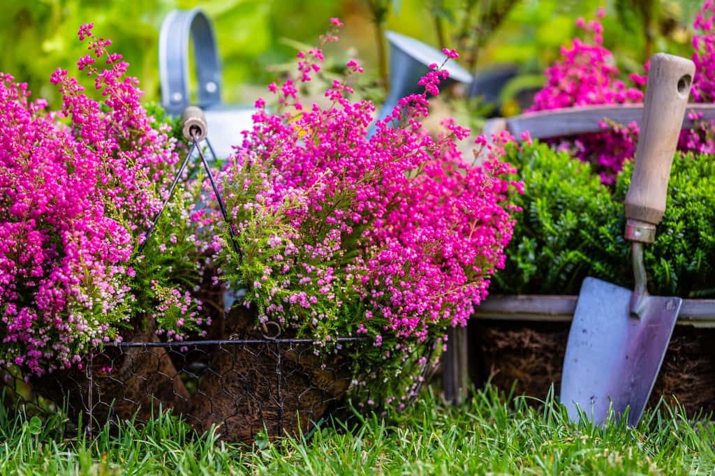 Un beau jardin n'est pas forcément synonyme de gros budget ! © iMarzi, Adobe Stock