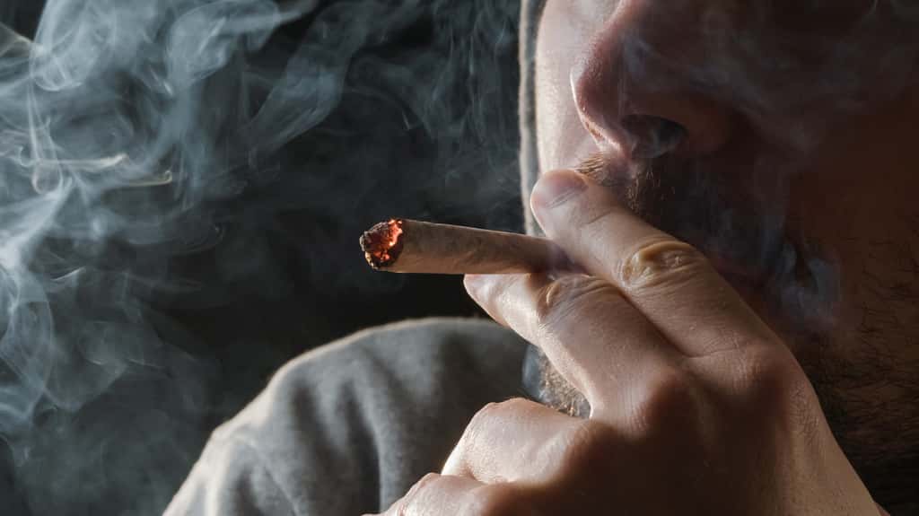 Le cannabis médicinal : le connaître et l'utiliser