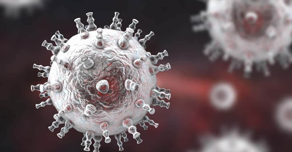 Le sarcome de Kaposi, un cancer de la peau, est lié à l’herpèsvirus humain HHV8. Il se développe souvent chez les individus immunodéprimés à cause de la maladie Sida. © Kateryna Kon, Shutterstock