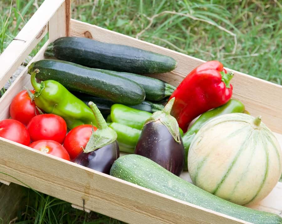 Récolte de beaux légumes d'été : tomates, aubergines, courgettes, poivrons et melons. © Marylène, Adobe Stock