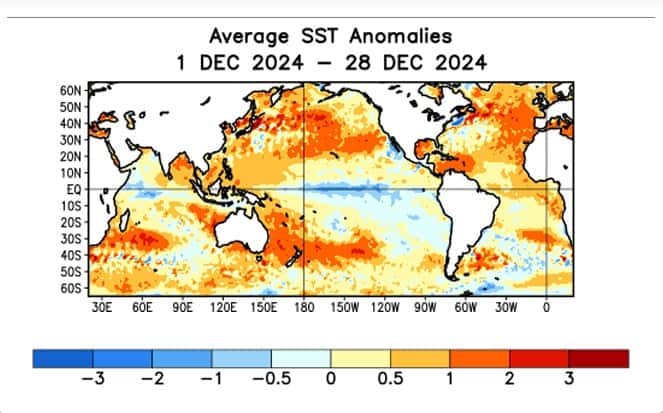 L'anomalie de température, très légère, se voit en bleu dans l'océan pacifique au cours du mois de décembre 2024. © NOAA