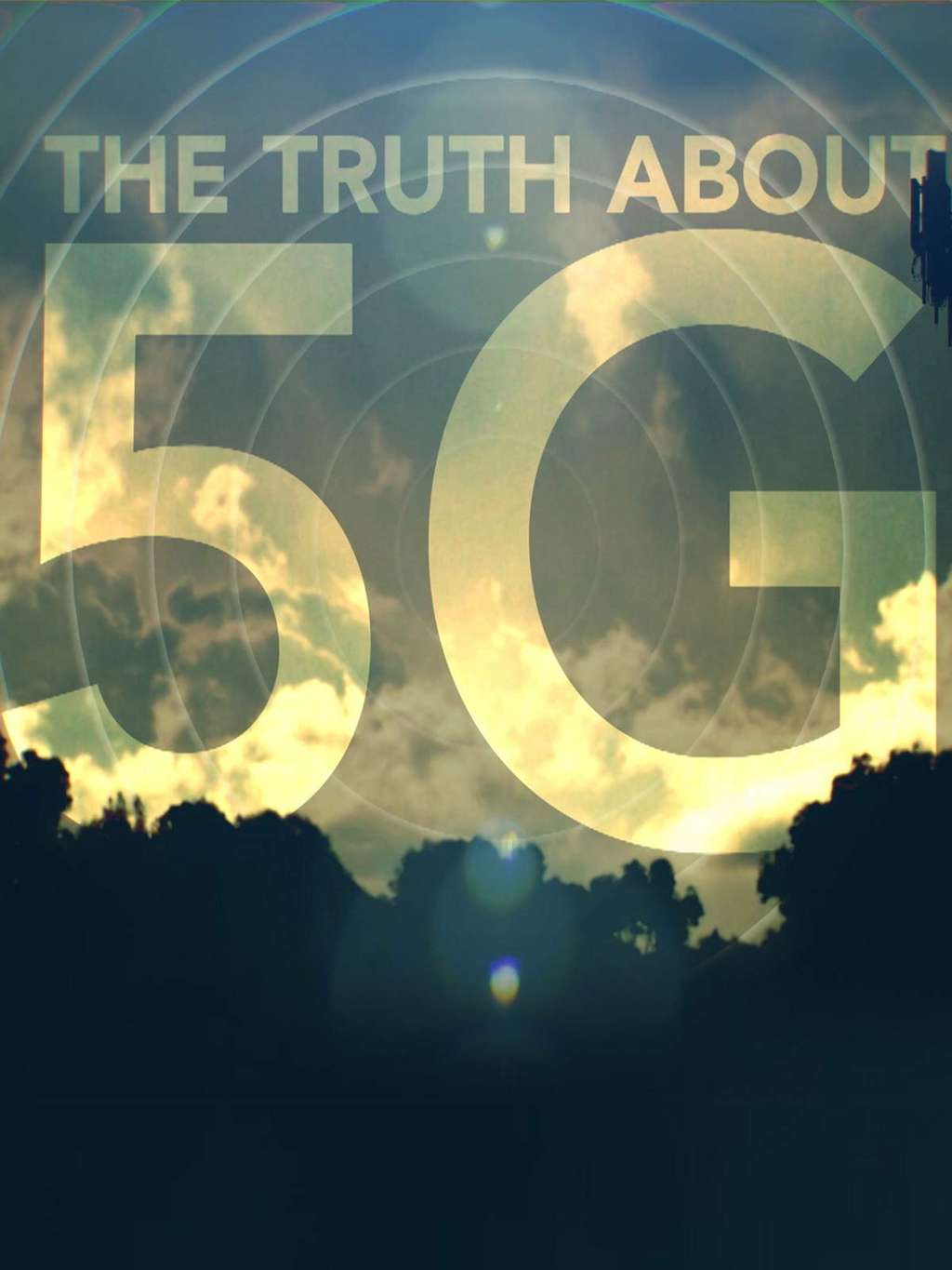 <em>La vérité sur la 5G</em>. © Amazon