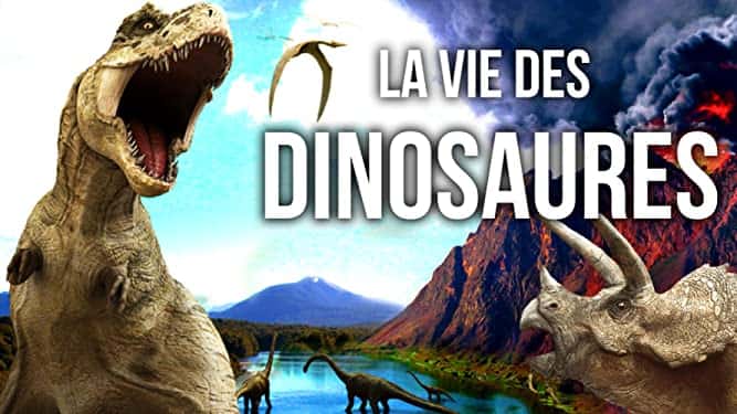La vie des dinosaures © Amazon