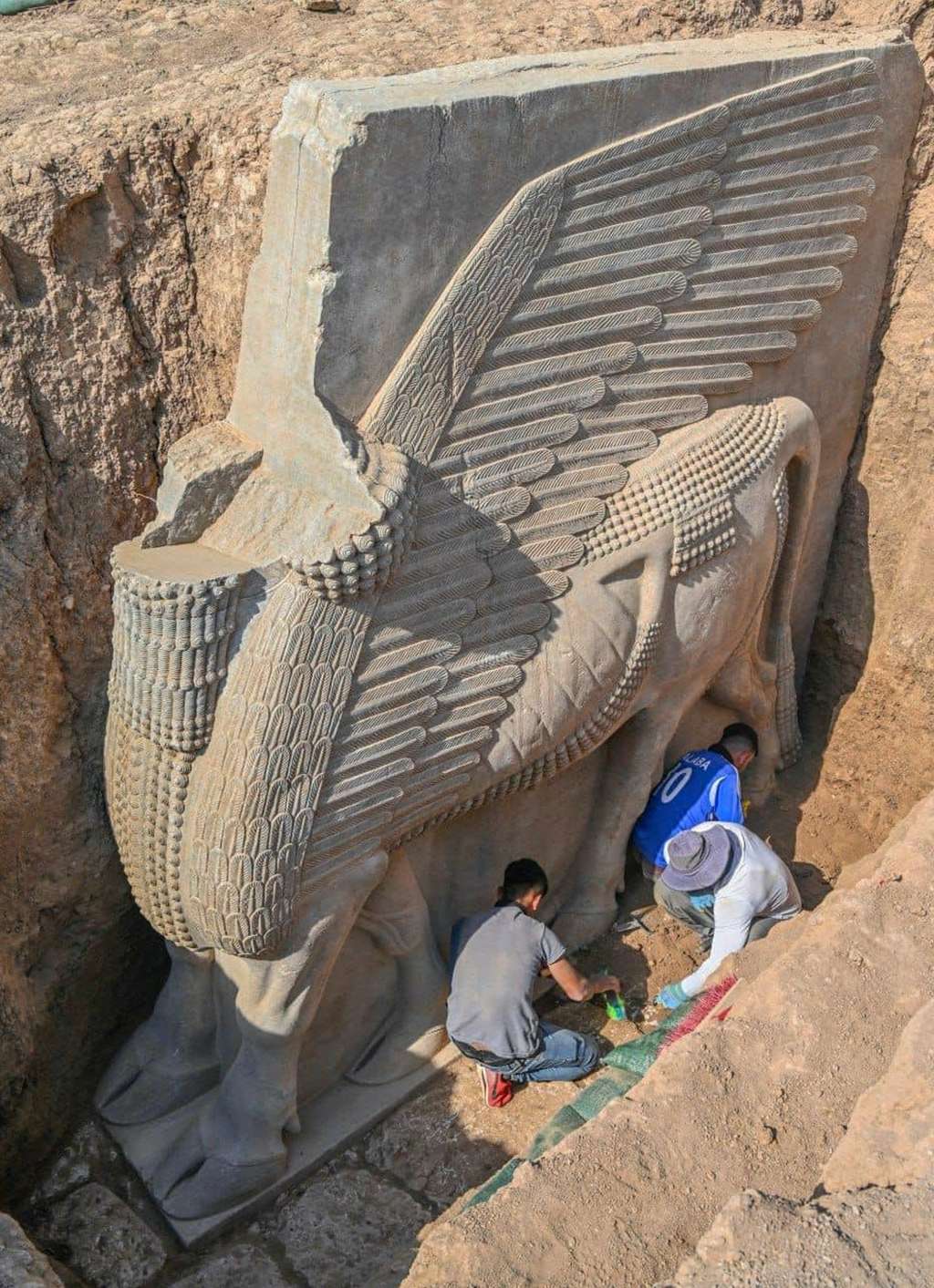 Le Lamassu mesure 3,8 sur 3,9 mètres et est composé d’albâtre. © Mustafa Faraj, Conseil d'État des Antiquité et de l'héritage d'Irak 