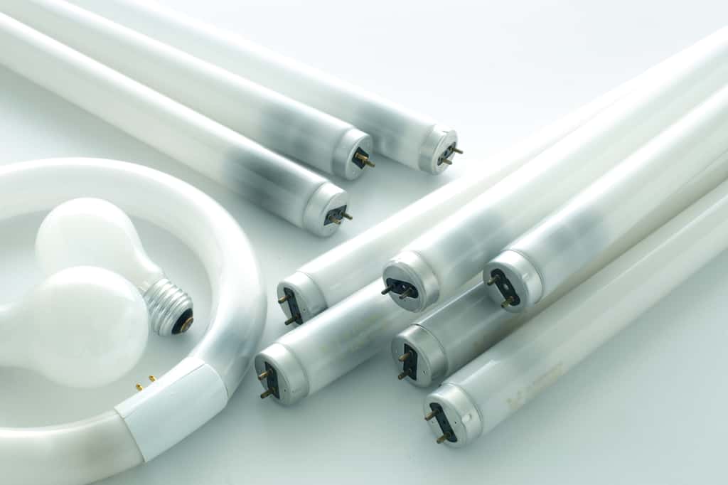 La jeune chimiste franco-américaine a réussi à isoler l'europium en une seule étape dans des déchets de lampes et de tubes néons. © Free1970, Adobe Stock