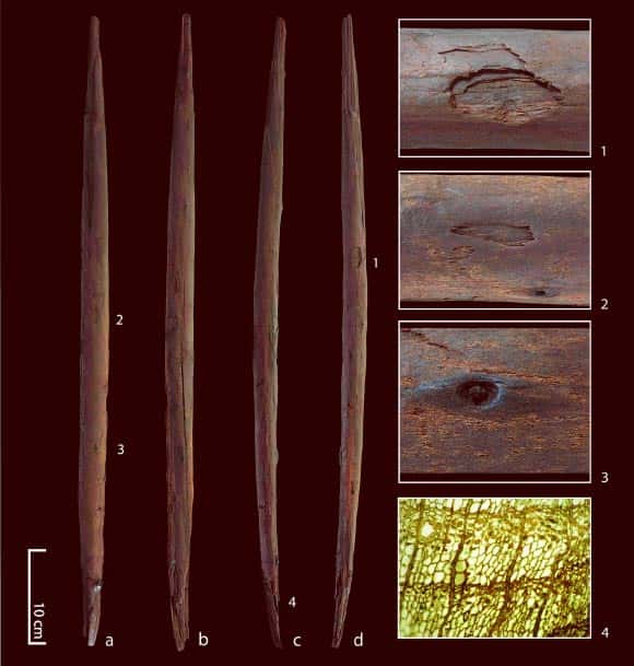 Plusieurs vues d'ensemble et détaillées de la lance de bois mise au jour sur le site de Schöningen 13 II-4. En 4, la structure cellulaire du bois parfaitement conservée. © Conard et al, <em>Nature Ecology & Evolution</em>