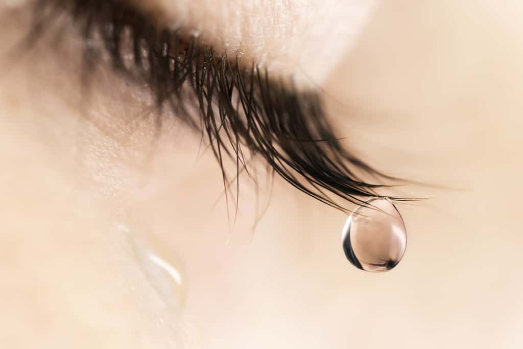 Pour chaque expérience, les chercheurs ont utilisé près de 1,5 millilitre de larmes par participante. Les larmes ont été recueillies au cours d'environ 125 séances de don auprès de 6 femmes volontaires, qui ont été sélectionnées pour leur capacité à pleurer facilement. © Laura Pashkevich, Fotolia