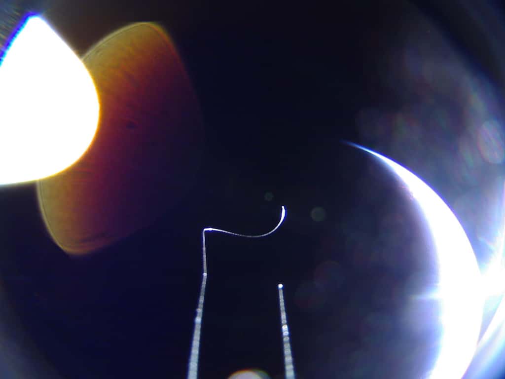 Image de la Terre peu avant que le Soleil ne se couche à l'horizon (hors de l'image en bas à droite), prise par la voile solaire LightSail-2 le 6 juillet 2019. Sur cette image non retouchée, les artefacts proviennent de la diffusion de la lumière à l'intérieur de l'objectif de la caméra. Il s'agit par ailleurs d'un objectif <em>fisheye </em>avec un vaste champ de vision (180°), mais responsable des arcs brillants aux coins de l'image et source de distorsion. Selon <em>The Planetary Society</em>, les objets visibles au premier feraient partie du <em>spectraline</em>, dispositif qui maintenait les panneaux solaires fermés avant déploiement. © <em>The Planetary Society</em>