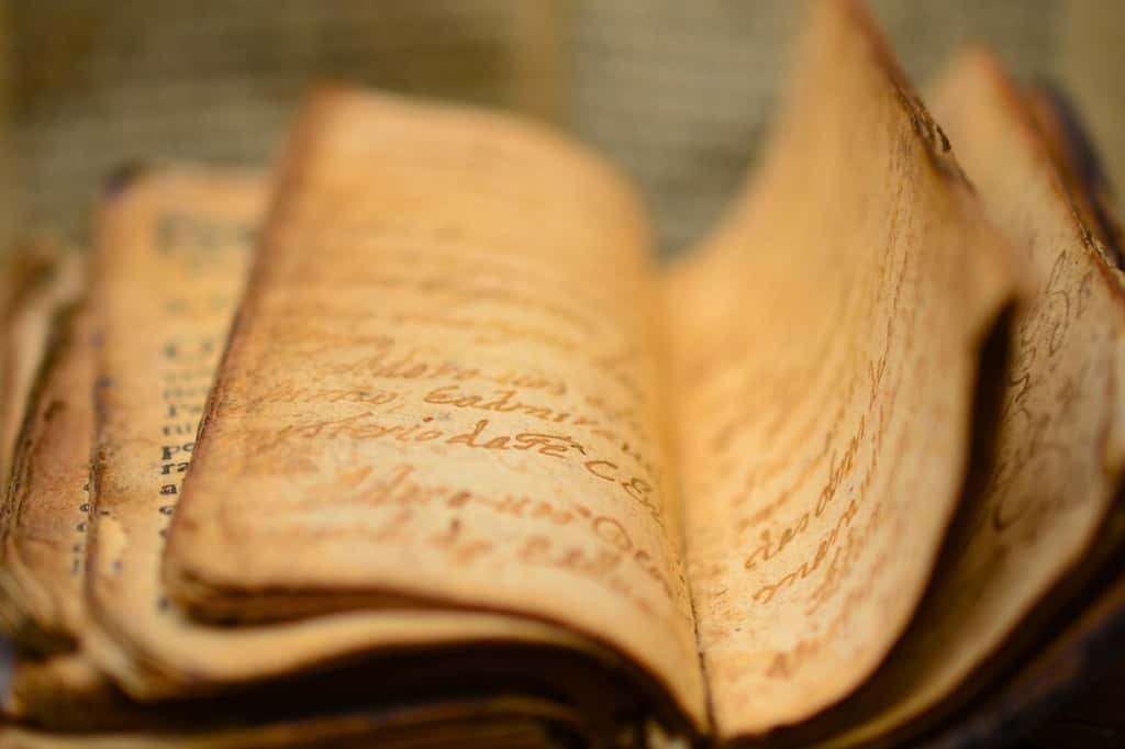 Une langue a tendance à développer un vocabulaire riche autour de concepts culturellement significatifs. © BlackQuetzal, iStock