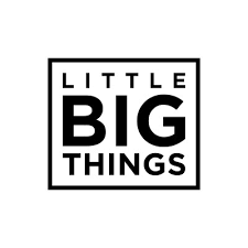 LITTLE BIG THINGS, le podcast business français spécialisé dans le digital et la tech © LITTLE BIG THINGS