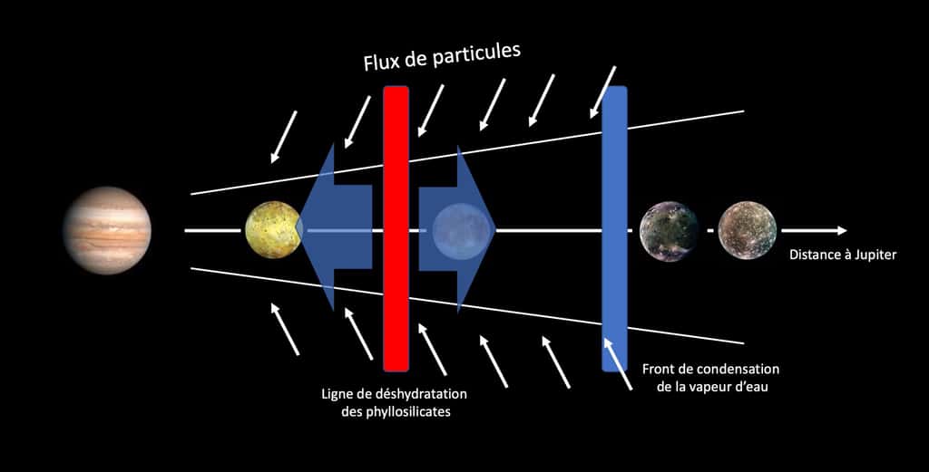 Les particules réfractaires composées de phyllosilicates migrent vers l’intérieur du disque circumjovien et croisent leur ligne de déshydratation à une température de 400 à 600 kelvins. Les particules déshydratées poursuivent leur migration vers l’intérieur du disque et participeront à la formation de la lune interne Io. Europe se forme légèrement au-delà de la région de déshydratation à partir de particules de phyllosilicates non altérées. La vapeur d’eau émise par les particules déshydratées diffuse radialement dans le disque et se recondense autour de 150 kelvins à une plus grande distance de Jupiter. La quantité de glace ainsi formée s’accumule dans cette zone, puis s’agglomère avec les particules réfractaires afin de former Ganymède et Callisto. © Laboratoire d’astrophysique de Marseille