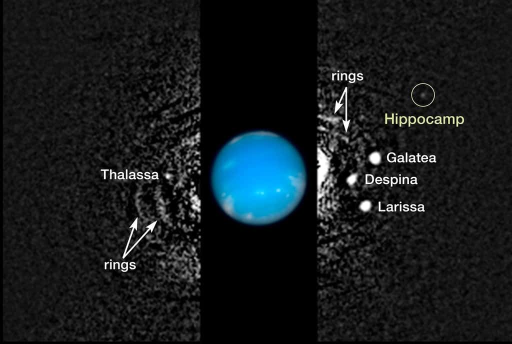 Cette image composite montre l’emplacement d'Hippocampe, anciennement S/2004 N1, en orbite autour de la planète géante Neptune, située à environ 4,8 milliards de kilomètres de la Terre. La lune ne mesure que 34 kilomètres de diamètre et est faiblement lumineuse. Elle a donc été manquée par les caméras de Voyager 2 de la Nasa lorsque la sonde a volé près de Neptune en 1989. Plusieurs autres lunes découvertes par Voyager apparaissent dans cette image de 2009, accompagnées d'une structure circumplanétaire. connu sous le nom d'arcs en anneau. Mark Showalter, de l'institut Seti, a découvert Hippocampe en juillet 2013 en analysant plus de 150 images d'archives de Neptune prises par Hubble de 2004 à 2009. L'image en noir et blanc a été prise en 2009 avec la caméra à large champ 3 de Hubble en lumière visible. Hubble a pris celle de Neptune en couleur le 19 août 2009. © NASA, ESA et M. Showalter (Institut SETI).