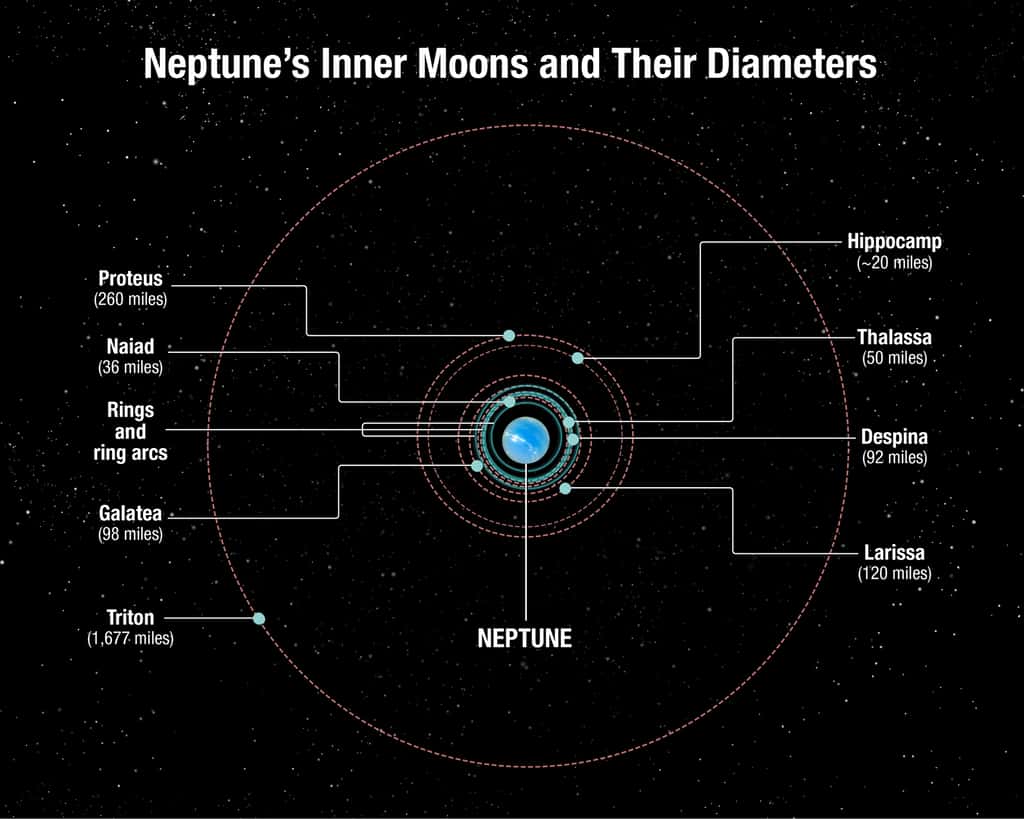 Ce schéma montre les orbites des lunes de Neptune. À l’exception de Triton, découverte en 1846, et d'Hippocampe, débusquée en 2013 avec le télescope Hubble, toutes les autres lunes ont été repérées en 1989 par la sonde Voyager 2 de la Nasa. Contrairement à celle des autres lunes de Neptune, l'orbite de Triton est rétrograde (parcourue dans le sens contraire de la rotation de Neptune). Cela suggère qu'il s'agit d'un objet de la ceinture de Kuiper capturé par la géante, et donc d’une cousine éloignée de Pluton. Les lunes intérieures se sont peut-être formées après la capture de Triton, il y a plusieurs milliards d'années. Les tailles sont en milles et un mille vaut environ 1,6 km. © A. Feild, <em>Space Telescope Science Institute</em>, Nasa, Esa