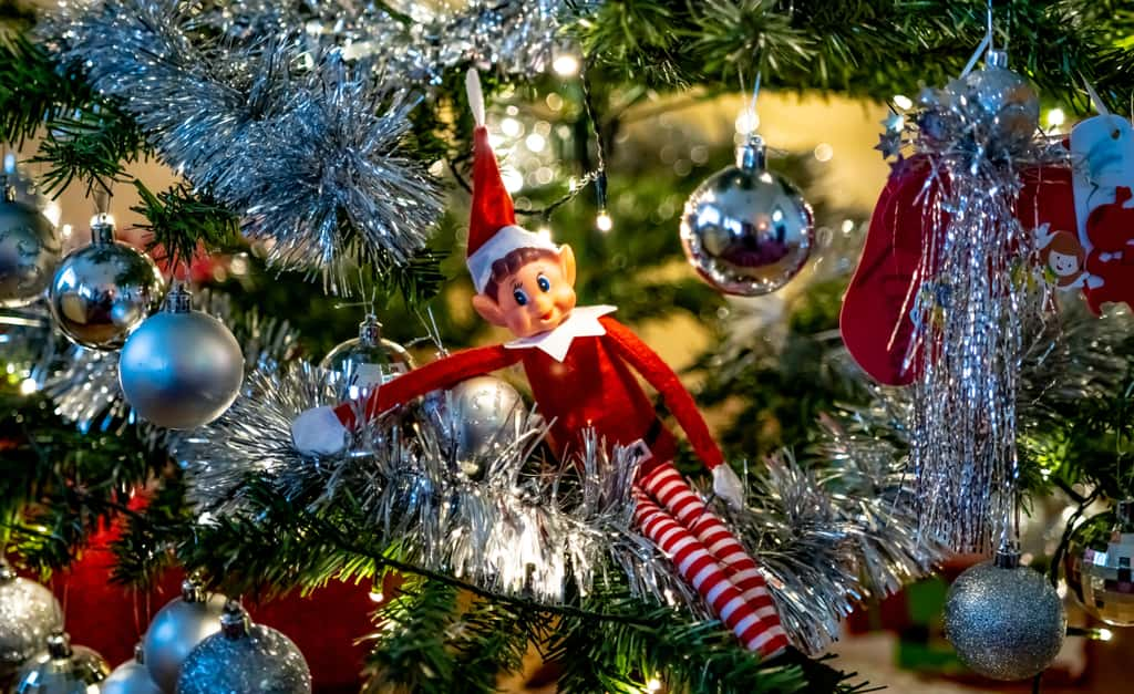 Ce lutin farceur a décidé d'élire domicile dans le sapin… © yackers1, Adobe Stock