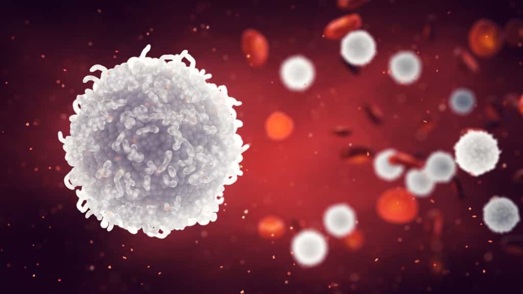 Les lymphocytes sont les soldats de l'immunité. © nobeastsofierce, Adobe Stock