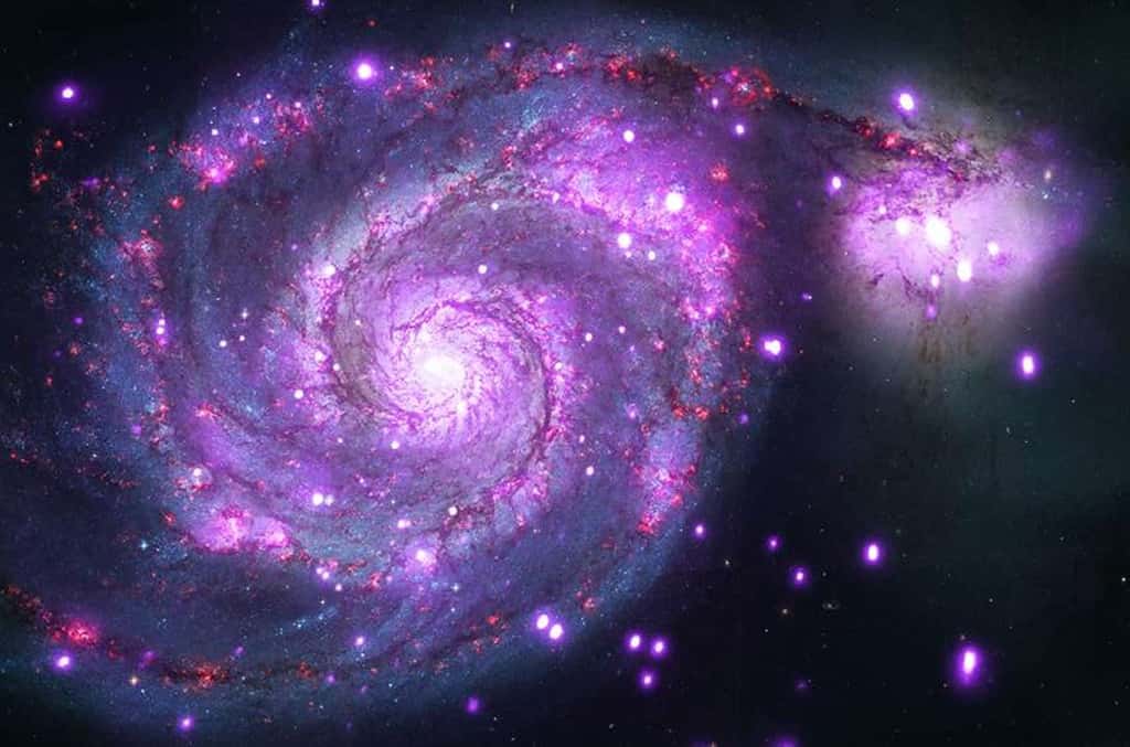 Superposée au portrait réalisé par Hubble, la galaxie M51 dévisagée dans les rayonnements X par Chandra (en pourpre). Plus de 500 sources apparaissent, parmi lesquelles de nombreuses supernovae échauffant leur environnement à plusieurs millions de degrés. Très prolixes, les deux galaxies en collision abritent également des binaires à rayonnement X où se cachent des trous noirs. © Nasa, STScI, CXC, Wesleyan University, Roy Kilgard