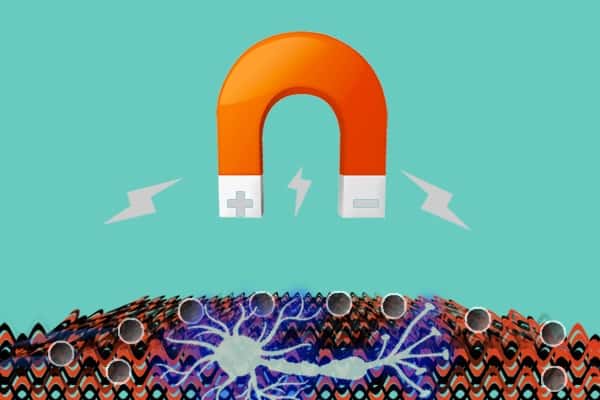 Représentation imagée de l’expérience : un aimant fait bouger des micro-particules magnétiques dans un gel, générant des forces mécaniques qui influencent les neurones. © Henry Samueli School of Engineering/UCLA