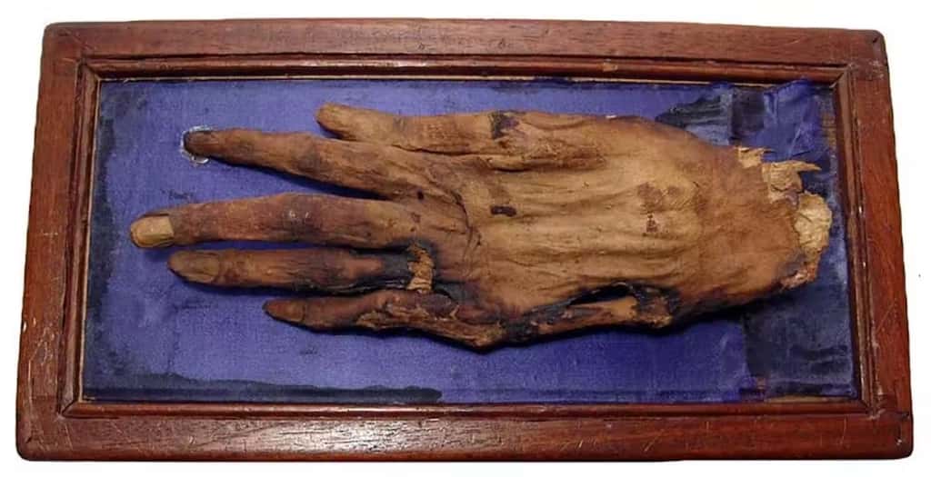La « main de Cléopâtre ». Collection privée