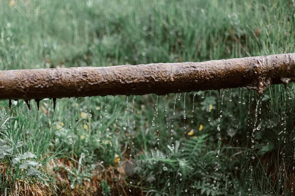 La récupération d'eau de pluie, un moyen de faire des économies. © eberhard grossgasteiger, Pexels