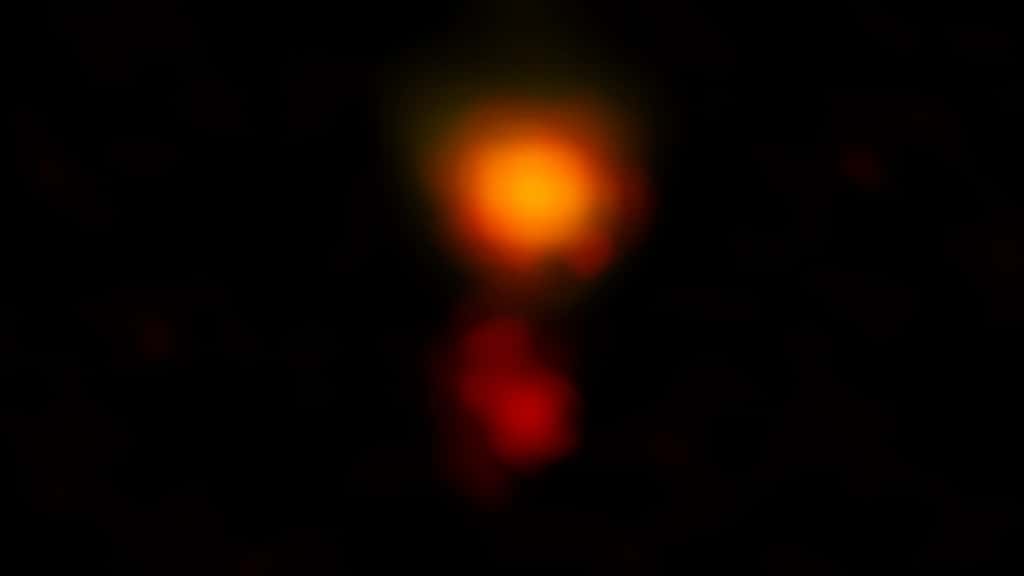 Une image radio en fausses couleurs de la galaxie poussiéreuse en formation d'étoiles appelée Mambo-9 qui se compose de deux galaxies en train de fusionner. © Alma (ESO-NAOJ-NRAO), C.M. Casey et al. ; NRAO-AUI-NSF, B. Saxton