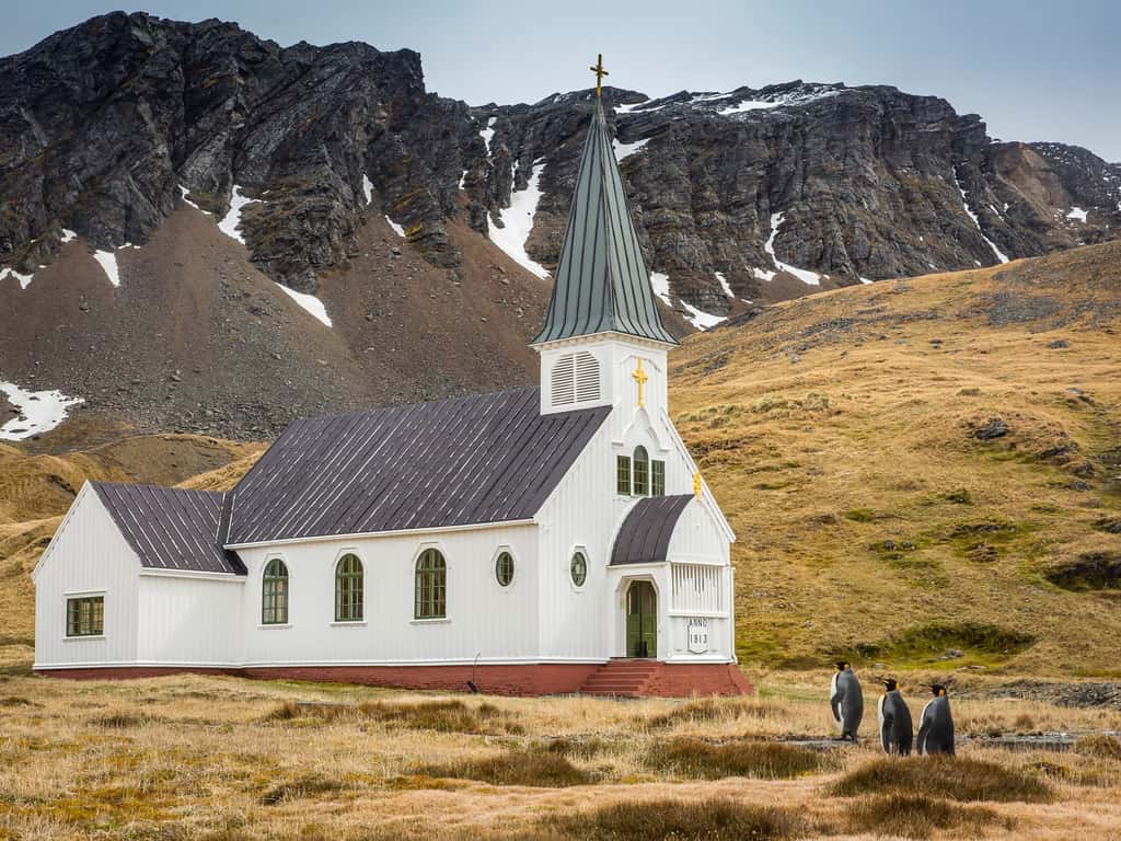 Trois manchots en route pour l’église de Grytviken. © Carl Henry, <em>Comedy Wildlife Photography Awards</em>