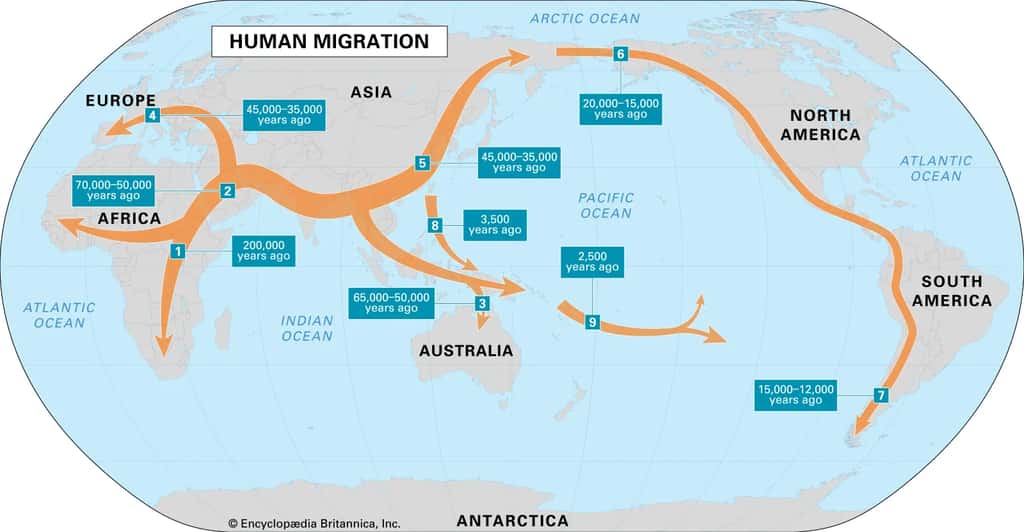 Carte des voies et épisodes migratoires d'<em>Homo sapiens</em> au cours de son histoire. © <em>Encyclopædia Britannica </em>