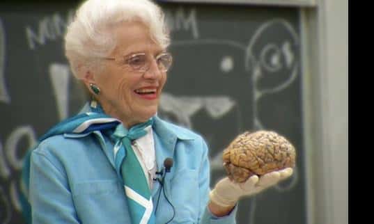 Marian Diamond, celle qui a vécu une « <em>histoire d'amour avec le cerveau </em>» est aussi la première scientifique à avoir pu analysé et disséqué le cerveau d'Einstein. © Berkley University
