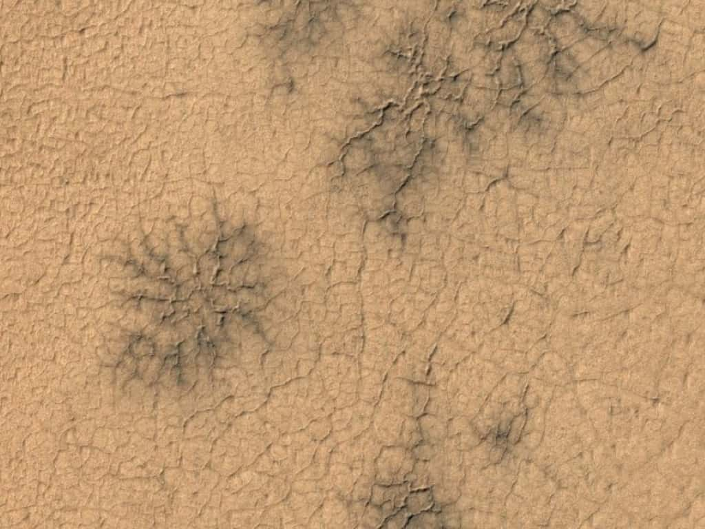 Comment expliquer ces curieuses formations, situées près du pôle sud de Mars, et ressemblant à des araignées ? © ESA_TGO_CaSSIS