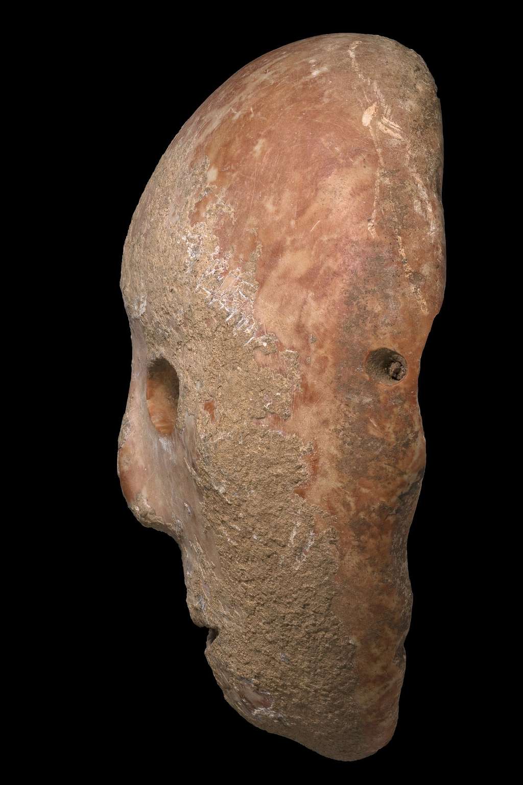 Ce masque de pierre vieux de 9.000 ans était un objet de rituel. C'est une perle rare, car il fait partie d'une petite collection comptant seulement 15 masques répartis à travers le globe. © Clara Amit, <em>Israel Antiquities Authority</em>