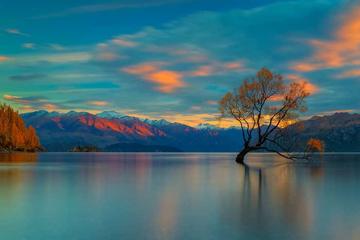 Le célèbre Wanaka Tree sur l'île du Sud en Nouvelle-Zélande. © Marcio Cabral