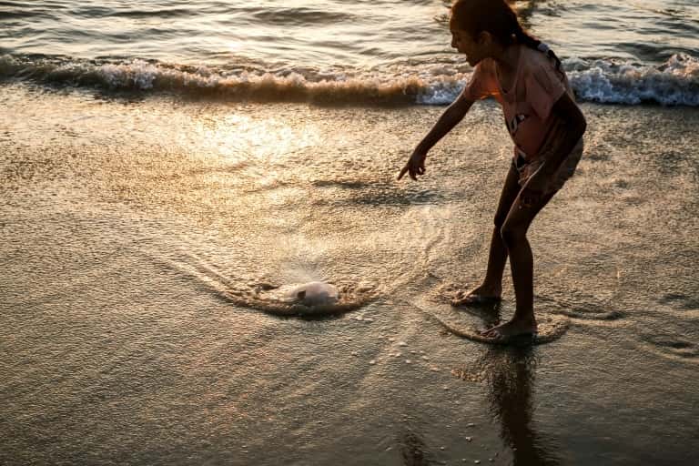 Quand les méduses déferlent sur les plages ! © Mohammed Abed, AFP/Archives