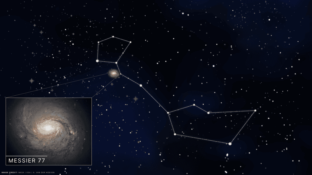 M77 et sa localisation vers la constellation de la Baleine. © Jack Parin, IceCube/NSF ; Nasa/ESA/A. van der Hoeven