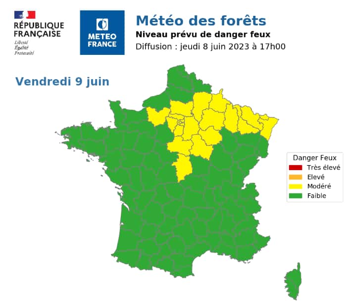 La météo des forêts pour ce vendredi 9 juin signale un risque de feux au nord-est et en Ile-de-France, de niveau modéré. © Météo France