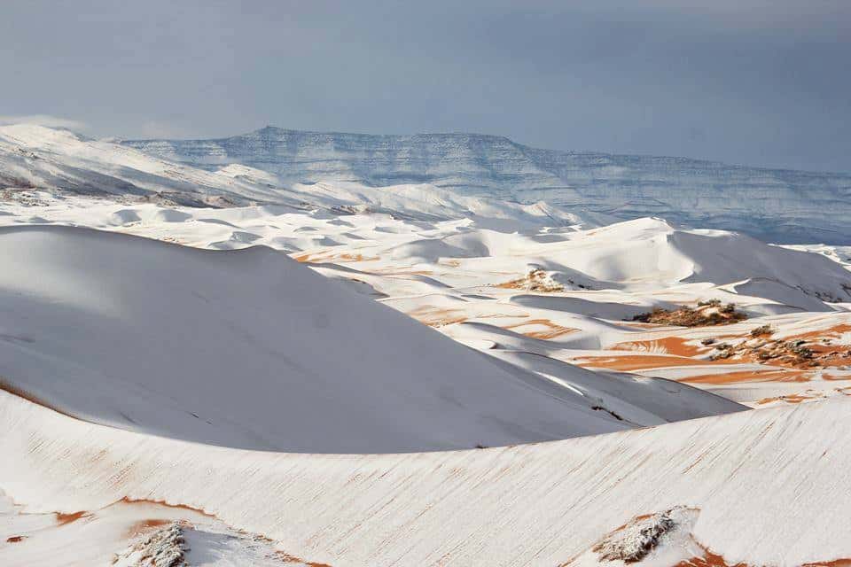 La neige est tombée dans la région de Aïn Sefra, dans le Sahara algérien, à 1.500 mètres d’altitude. © Météo-France